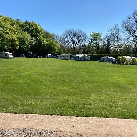 Bank Top Camping-North York Moors With Pitches For Caravans, Camper Vans And Tents Hotell Pickering Exteriör bild