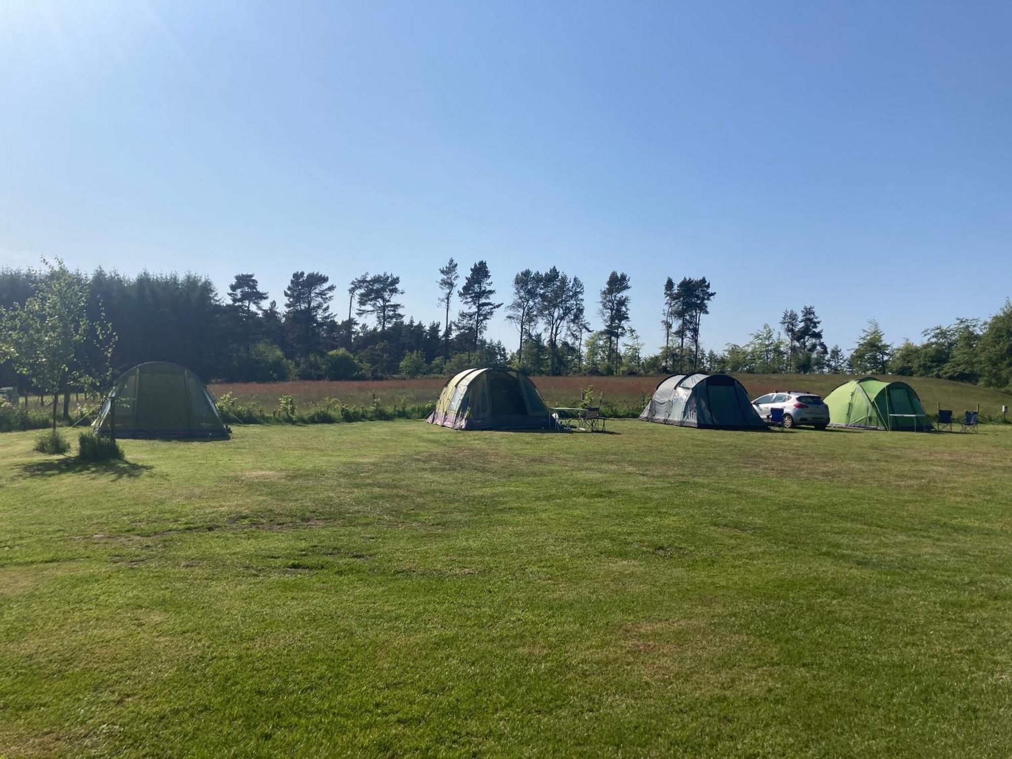 Bank Top Camping-North York Moors With Pitches For Caravans, Camper Vans And Tents Hotell Pickering Exteriör bild
