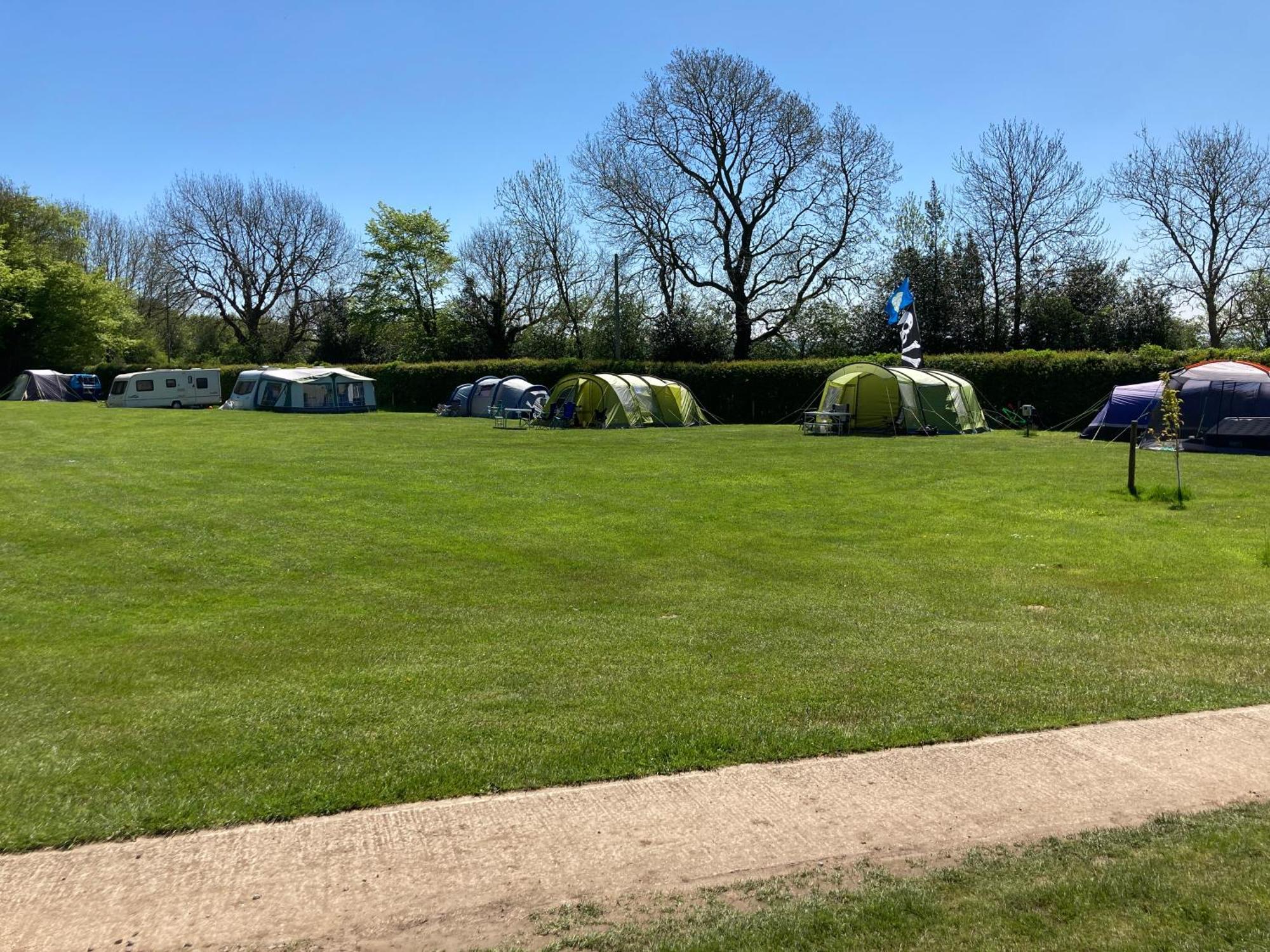 Bank Top Camping-North York Moors With Pitches For Caravans, Camper Vans And Tents Hotell Pickering Rum bild